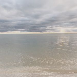 Meet your Posher, Gracie